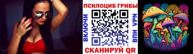 Псилоцибиновые грибы Psilocybine cubensis как найти наркотики Ясногорск